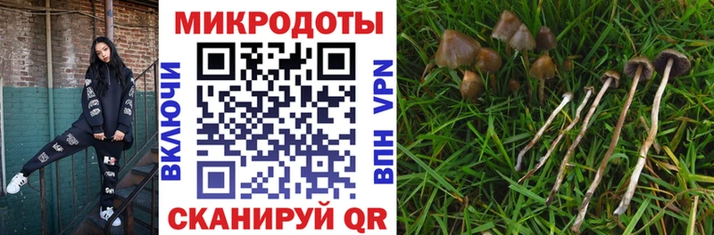 Купить где  Ишимбай  Псилоцибиновые грибы ЛСД 